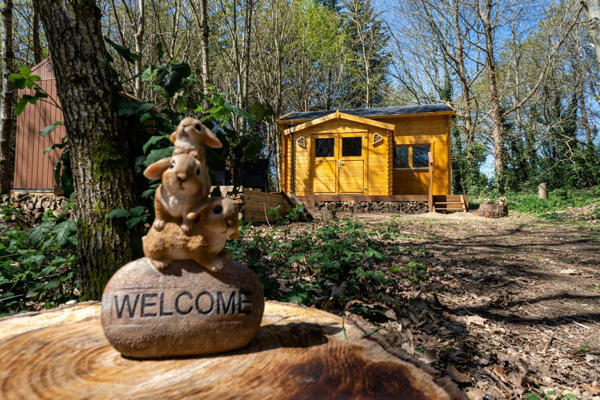 Cabane Insolite Avec Escape Game Saint-Évarzec Zewnętrze zdjęcie